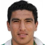 L. Jerez Silva